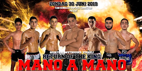 Primaire afbeelding van MANO A MANO - THE RETURN OF THE KING