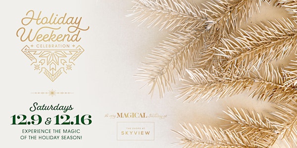 Skyview Complimentary Christmas Event & Photo with Santa!