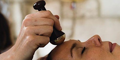 Ayurvedic Facial Therapist Training primary image