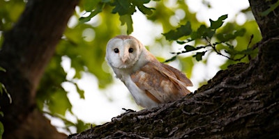 Hauptbild für Ely Wildlife Watch