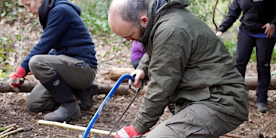 Primaire afbeelding van Level 3 Forest School Leader Training - May 2024