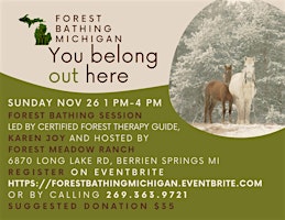 Recover from Thanksgiving and Holiday Shopping - Forest Bathing with Horses primary image