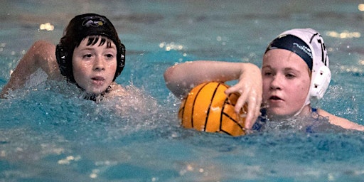 Imagen principal de Mini Polo - 6 Week Term Apr/May  Saturdays 12.45-1.30