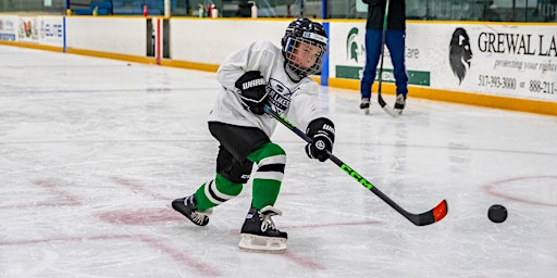 Orland Park, IL Great Lakes Hockey Camp primary image