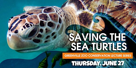 Saving the Sea Turtles – Greenville Zoo Conservation Lecture Series primary image