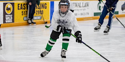 Imagem principal de East Lansing, MI Great Lakes Hockey Camp