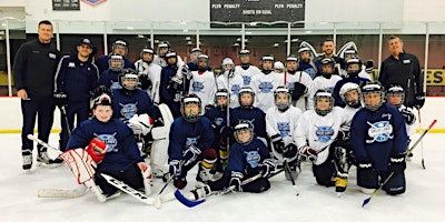 Imagem principal de West Dundee, IL Great Lakes Hockey Camp