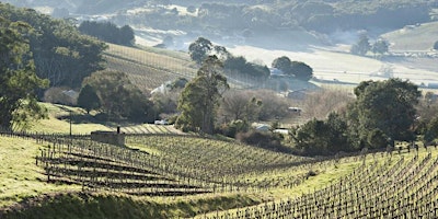 Imagem principal de Australia Masterclass: Wines of Adelaide Hills