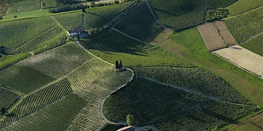 Imagem principal do evento Piedmont Wine Masterclass with Italian Charcuterie