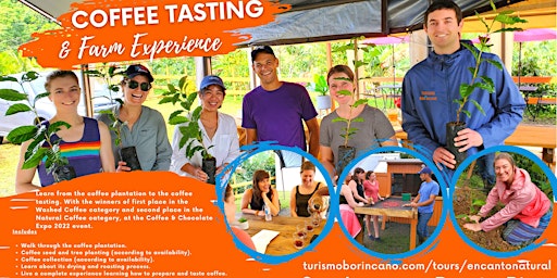 Image principale de Coffee Tasting and Farm Experience Tour