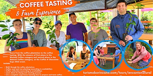 Imagem principal do evento Coffee Tasting and Farm Experience Tour