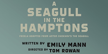 A Seagull in the Hamptons primary image