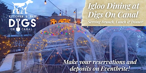 6:30PM WEEKDAY PRIVATE IGLOO DINING primary image