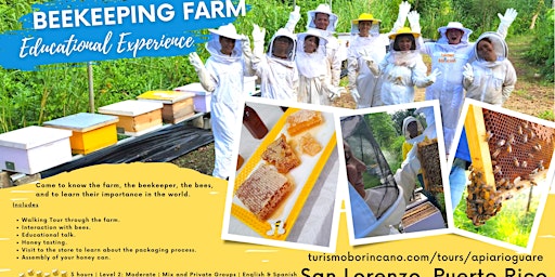 Imagem principal do evento Beekeeping Farm Educational Experience