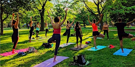 Weekly Belwoods Park Yoga - Class Passes! primary image