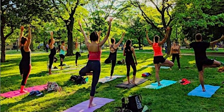 Park Yoga! Weekly in Trinity Bellwoods with Jayla primary image