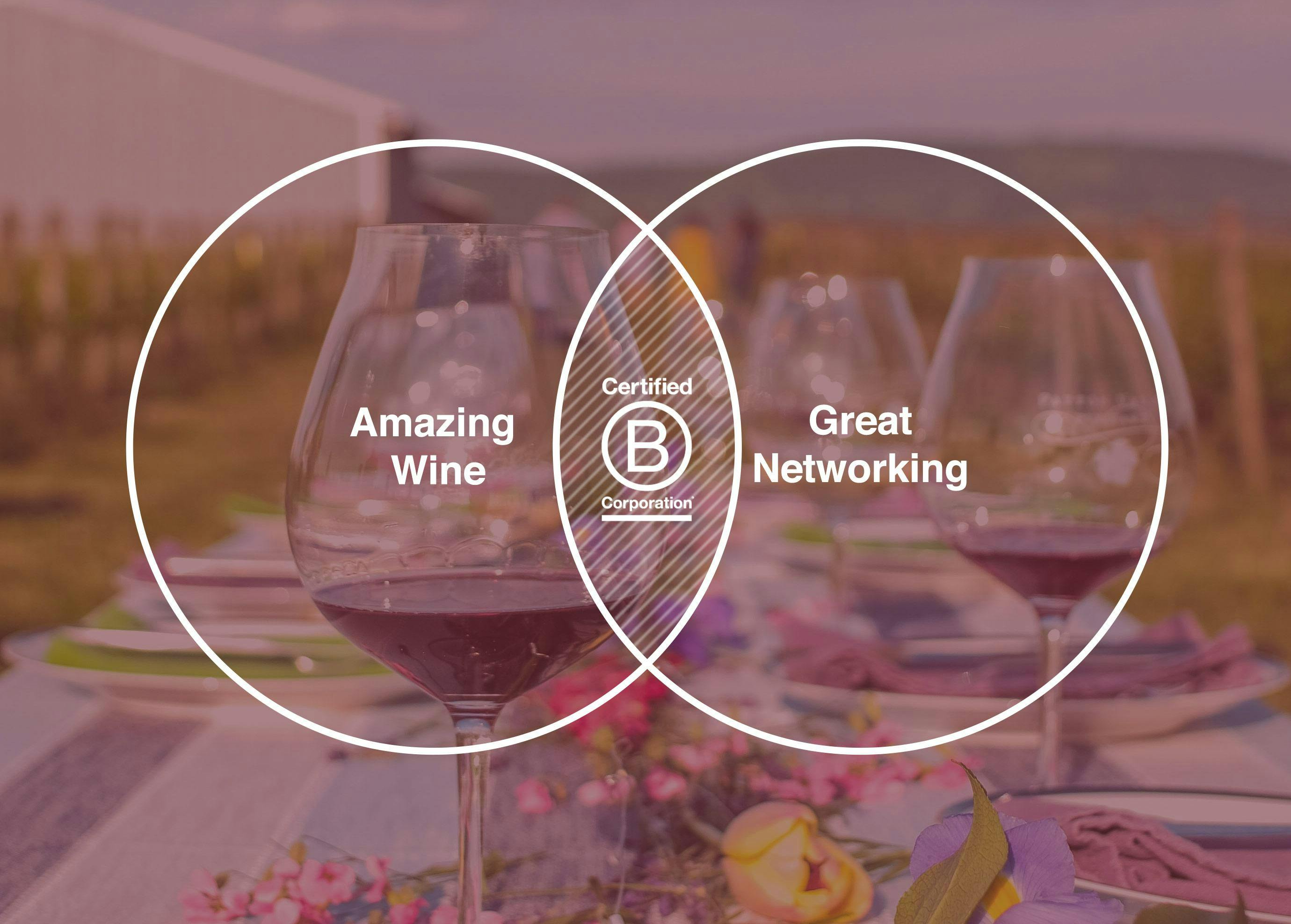 Networking & Wine Tasting with Certified B Corp Wineries