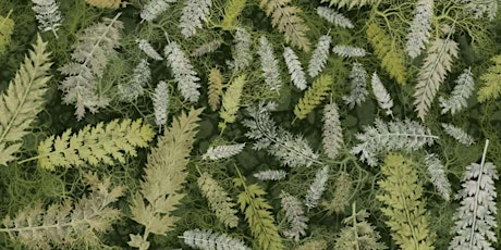 Fabric and Flora of Far South Tasmania primary image