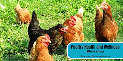 Webinar: Poultry Health and Wellness primary image