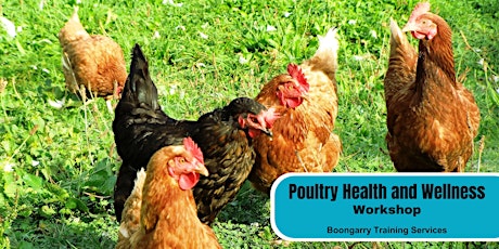 Webinar: Poultry Health and Wellness