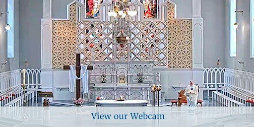 Hauptbild für Carlow Cathedral First Holy Communion 1