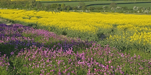 The Ecology of Climate Change with Brian Eversham primary image