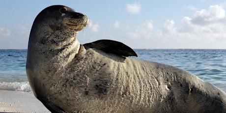 Hauptbild für Virtual Event: Celebrating Ocean Heroes