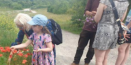 Wild Foods of Stanmer Park (Brighton) . primary image