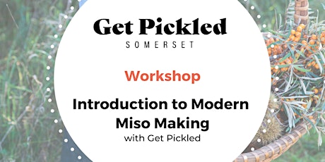 Introduction to Modern Miso Making primary image