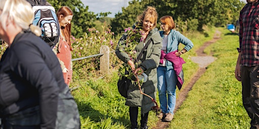 Hauptbild für SPECIAL: BALSAM BASH & FORAGE in Altrincham