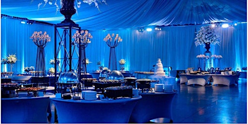 Imagem principal de The 6th Annual Artemis Ball