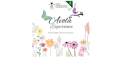 Imagem principal do evento Avola Experience
