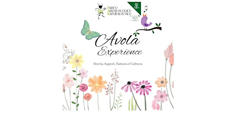 Avola Experience