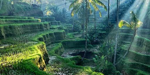 Imagem principal do evento Bali: An Enchanted Journey