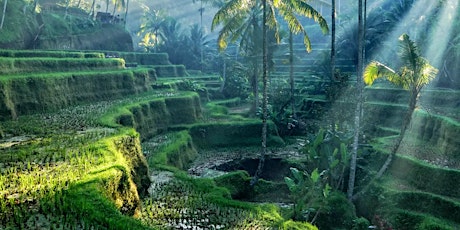 Bali: An Enchanted Journey