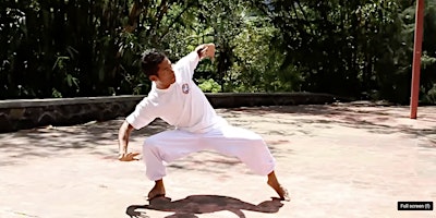 White Crane Kung Fu for All Levels - Intro to Animal Styles primary image