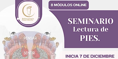 8º Módulo Seminario:  "Lectura de Pies" primary image