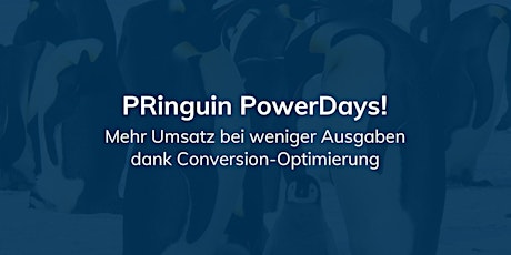 Hauptbild für PRinguin PowerDay - Conversion-Optimierung