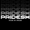 Logotipo da organização PRIDESH