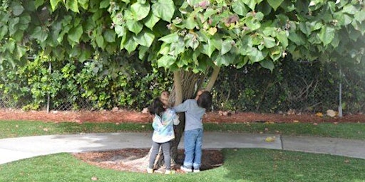 Hauptbild für Exploring Nature in Preschool - HEO0298