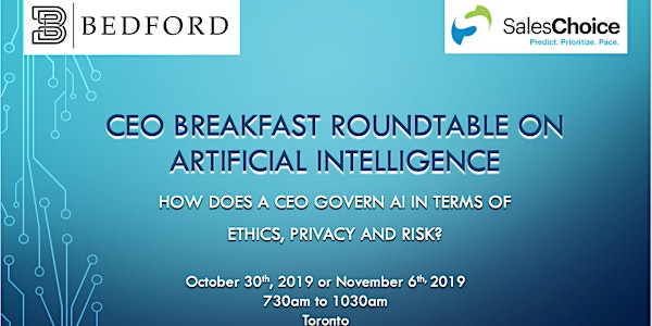 How Does a CEO Govern AI in terms of Ethics, Privacy and Risk?