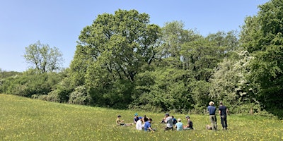 Primaire afbeelding van Wildflower Identification and Survey