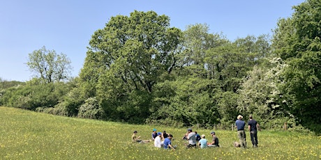 Wildflower Identification and Survey