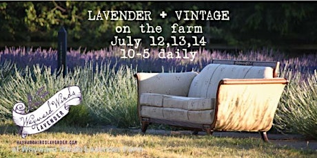 Lavender + Vintage Event