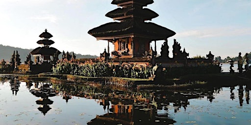 The Bali Wellness Yoga Retreat 2024