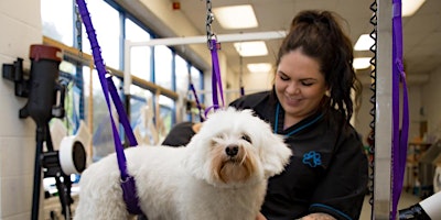 Dog Grooming Open Morning - Huntingdon primary image