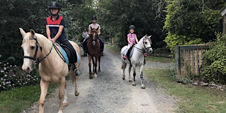 2 hour Group Holiday Horse Experience (8yrs+) primary image