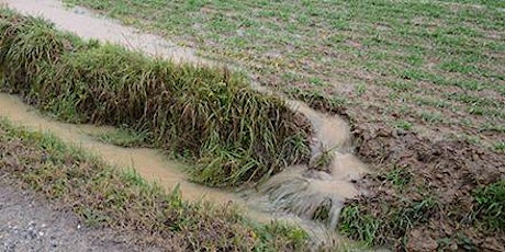 Immagine principale di LA RIDUZIONE DEL RISCHIO DI RUSCELLAMENTO DA AGROFARMACI 