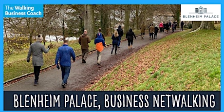 Business Netwalking in Blenheim Palace, Oxon Wed 17th April, 9.30am-11.30am