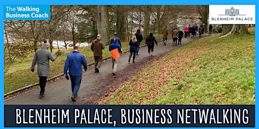 Business Netwalking in Blenheim Palace, Oxon. Wed 19th June, 9.30am-11.30am